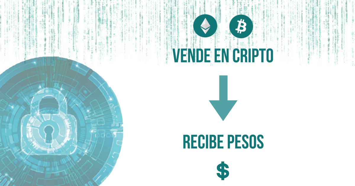 CriptoPago's tweet photo. Te gustaría vender tus servicios o productos globalmente y recibir pesos en tu cuenta bancaria instantáneamente? #CriptoPago es tu solución!
Aprovecha nuestra promoción de lanzamiento! Tarifa 0% hasta Febrero 2018. Registrate ya! https://t.co/k02OZS4fWj #Bitcoin #Ethereum https://t.co/FSkoqmanzK