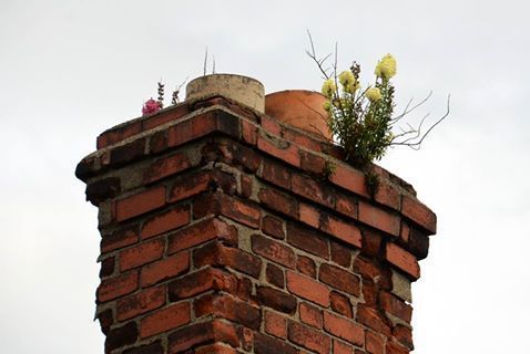 azragtnerb's tweet photo. Here are the top three ways you can upgrade your fireplace to increase its efficiency: https://t.co/jsnhdE7vle

#moneysavingtips #hvac #hvactips #homeownertips #homeowner # hvacrepair #evergysavingtips https://t.co/HHX70wUe7I