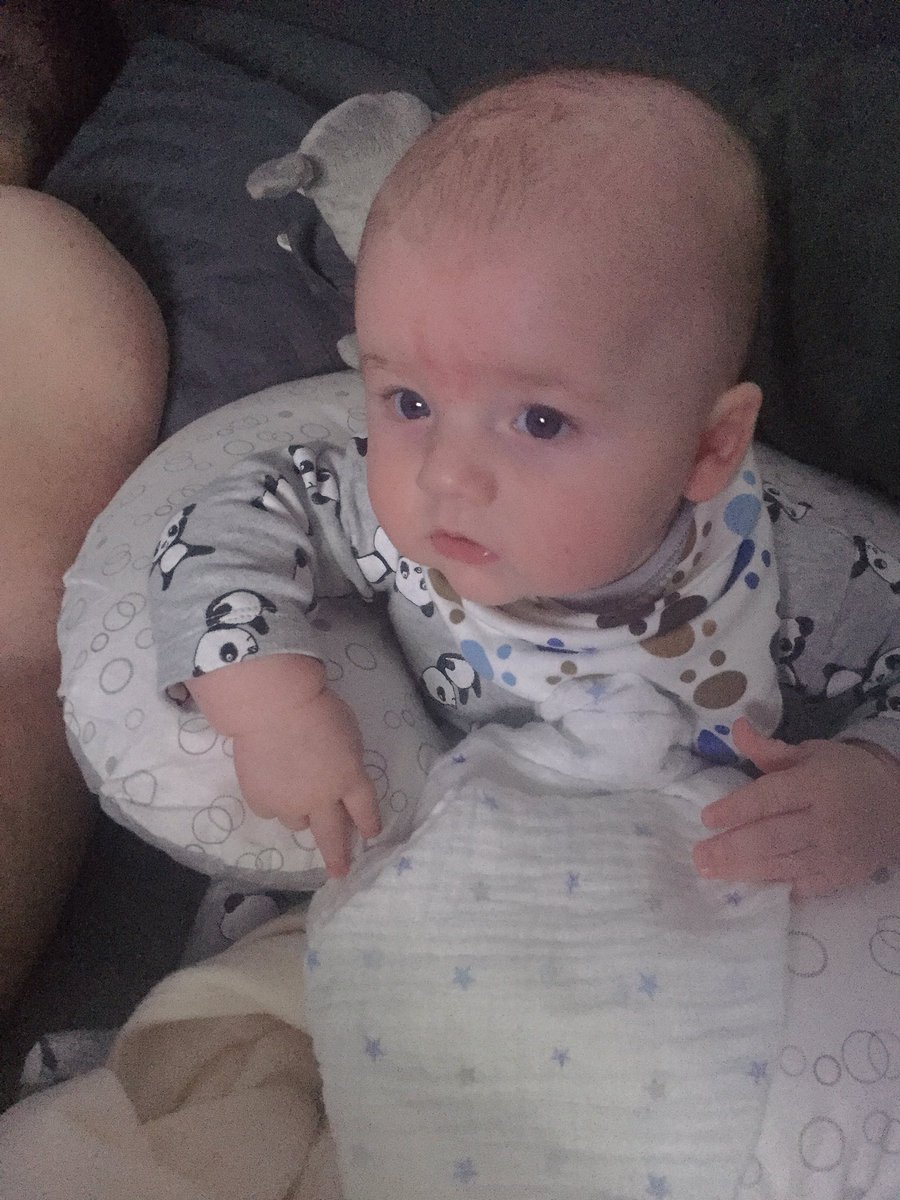 Rbown87's tweet photo. This face makes 5am not seem to bad 😂 get back to them 14hour sleeps ASAP please😴  #gluedtopeppapig https://t.co/7KOloYWlJP