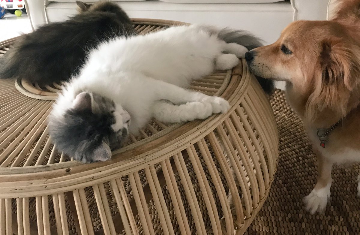 아침인데 일어날 생각 1도 없고