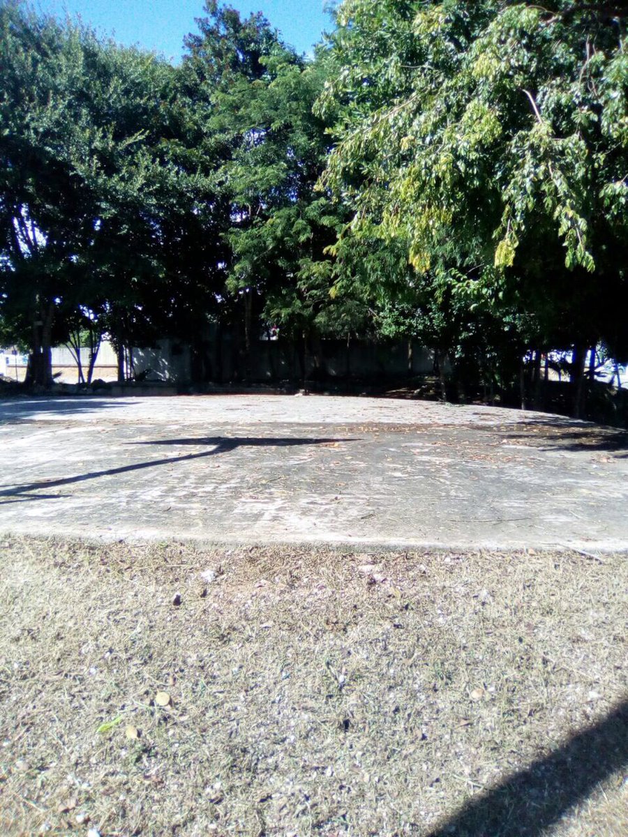 #BrigadasVerdes realizan chapeo y limpieza general de parque Reg. 238 Calle 104 #NoPararemos <a href="/rembertoestrada/">Remberto Estrada</a> <a href="/RogerEspinosaR/">Roger EsPro</a> <a href="/AFonsecaL/">Antonio Fonseca Leon</a> <a href="/ANTONY2302/">ANTONIO DE LA TORRE</a>