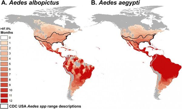 lifecycling_org's tweet photo. Mosquito-borne viruses may be spread at lower temperatures, potentially expanding impact (Science Magazine) https://t.co/l39JnjfBSF https://t.co/QMd5nlNDQ0