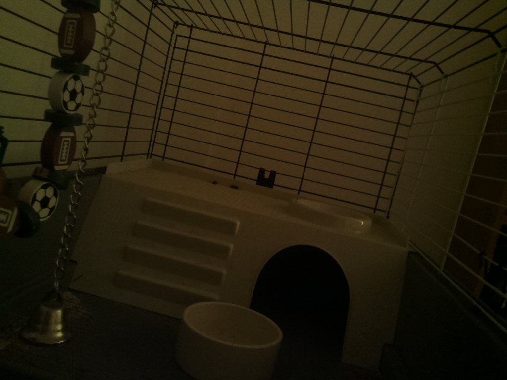 DexVision's tweet image. Dexvision live update at: 2017/11/29 21:00:02