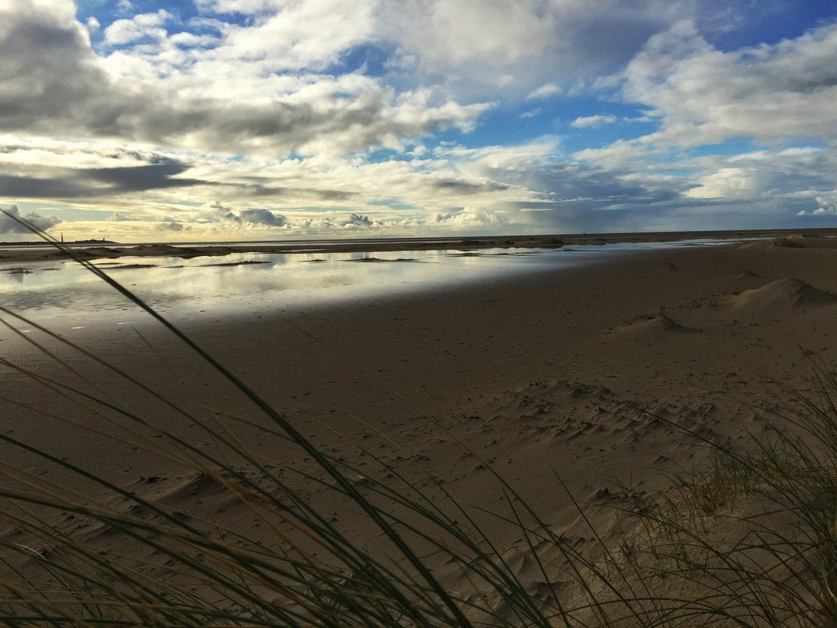 StTexelcampings's tweet photo. Heerlijk #Banjeren door #dehors #nietomdathetmoetmaaromdathetmag #genietenopsientexels https://t.co/XV0f2EnyJB