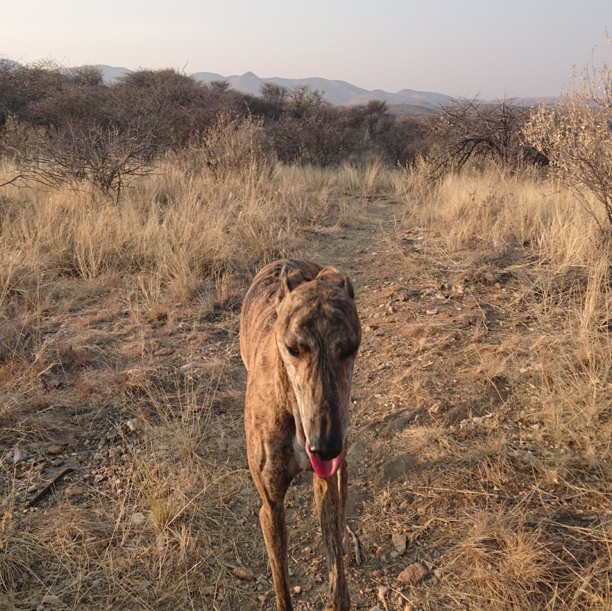 Philinnamibia's tweet image. #NewProfilePic