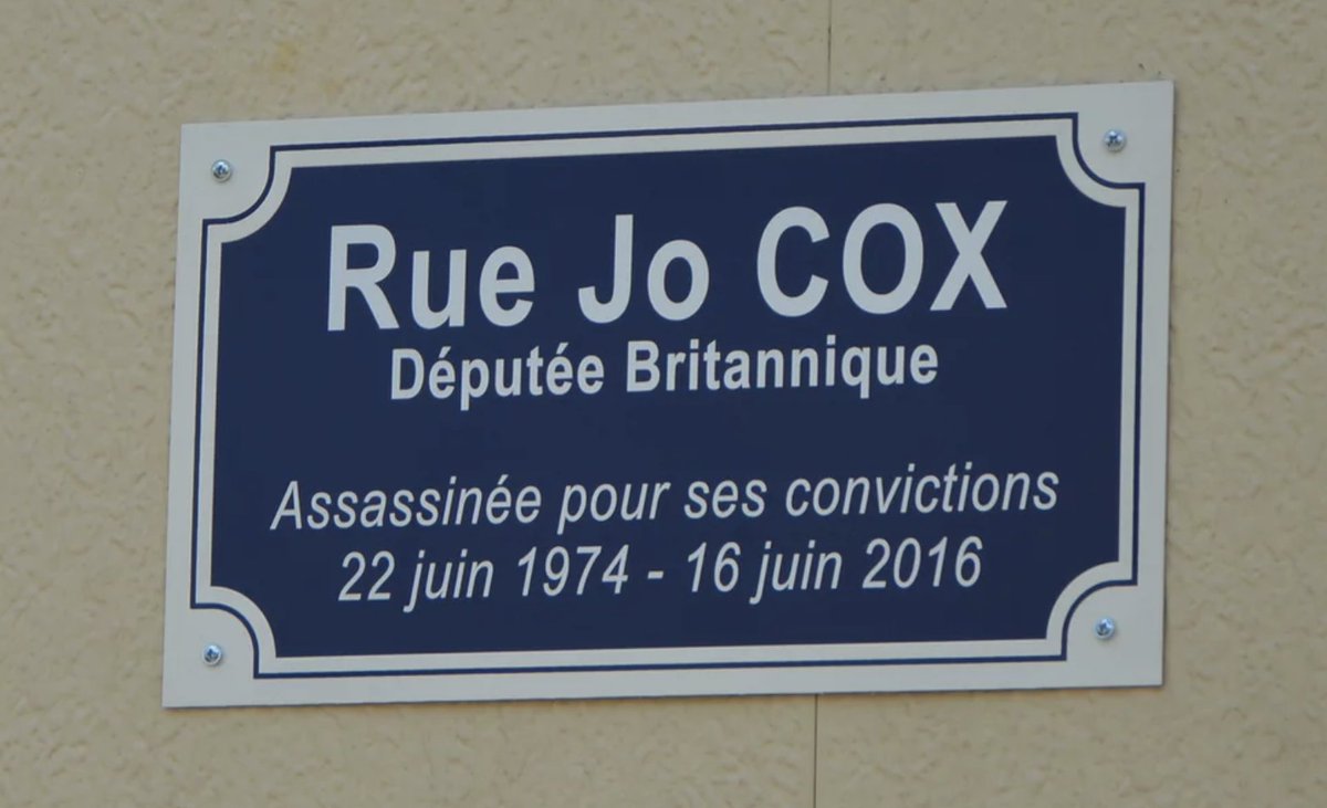 Jo Cox MP was murdered by a far right fanatic shouting "Britain First".

The French honour her: name a street after her. 

The US president retweets racist hatred from Britain First. 

Are you sure Brexit is a good idea?

Because the world is changing, for the worse, very fast.