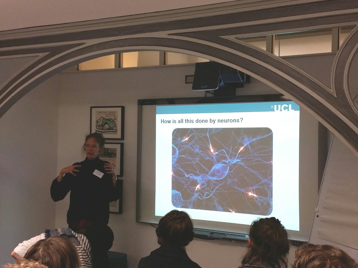 LTMInterchange's tweet photo. learning how the brain makes maps: why do we remember where the loo in the pub is but get lost in a train station? @katejjeffery explains how listening to neurons helps. #brainy #ShapingLDN #LTMLate @ltmuseum https://t.co/ROgYGTTuGD