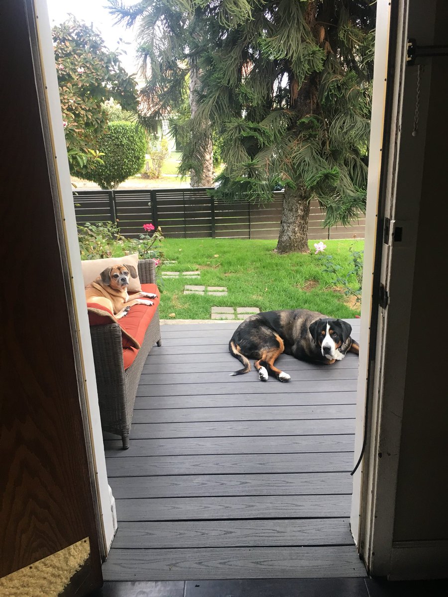 They just sit out there for hours. #TheseOldHags #Legends