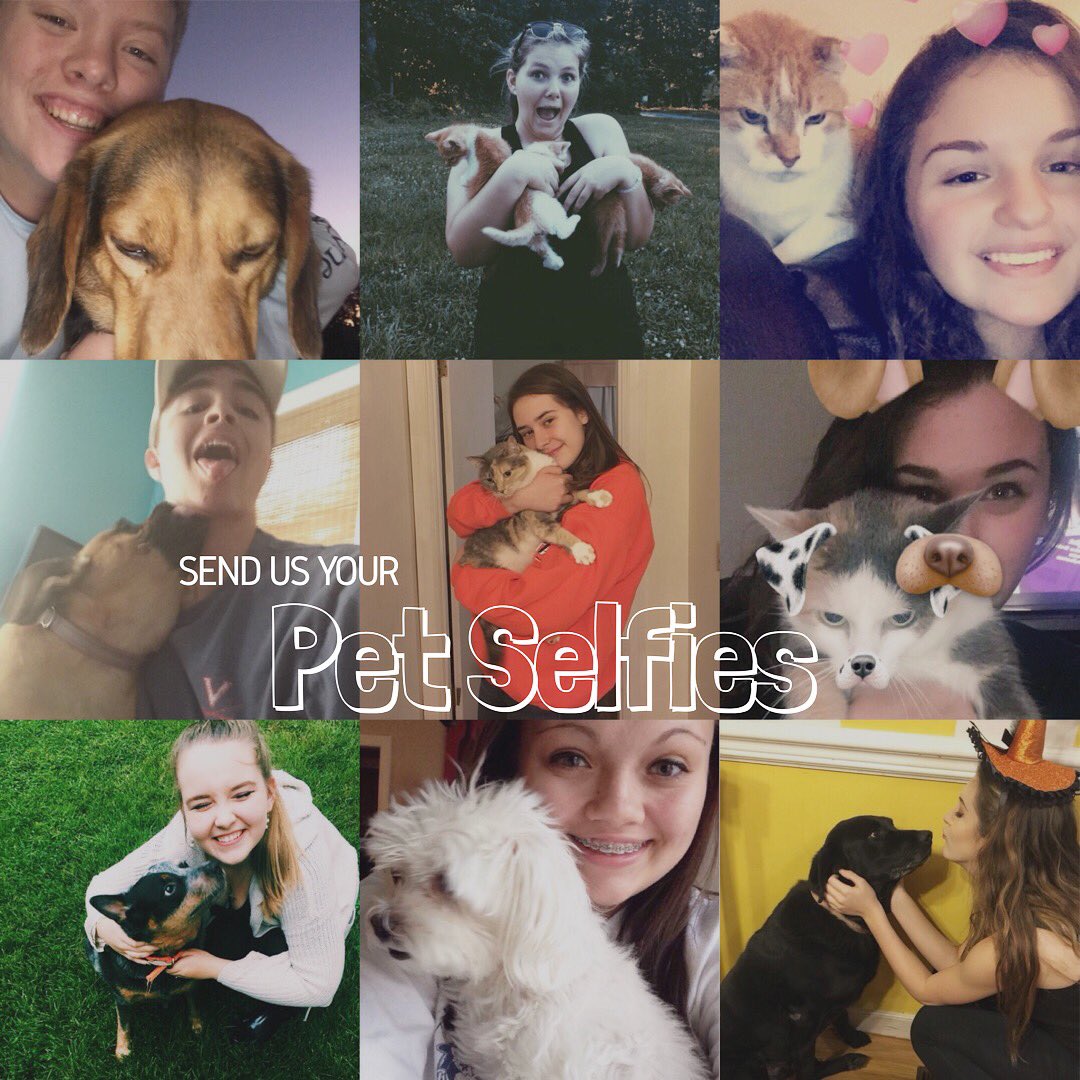 ahsnuntius's tweet photo. DM us on Instagram! 🐾 https://t.co/wA2Ps4vTLS