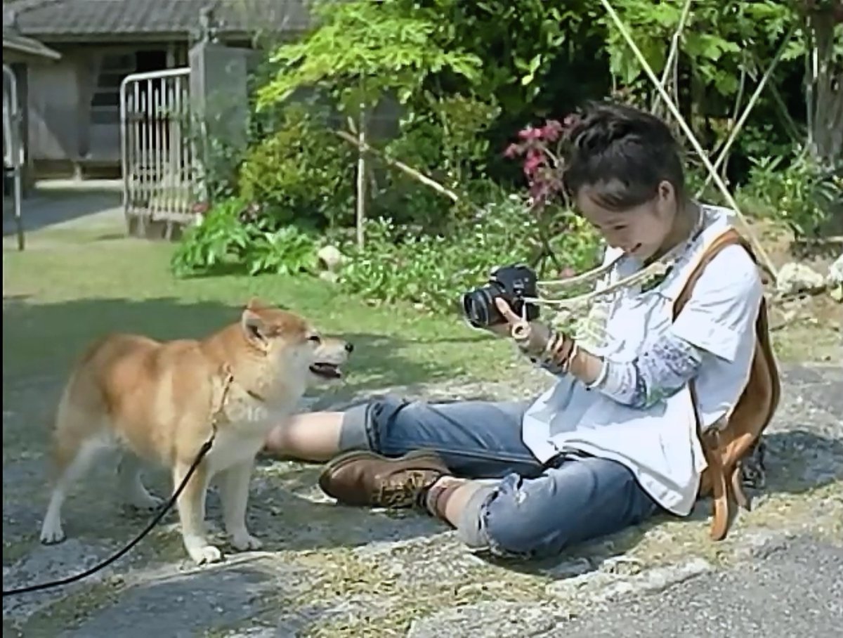 はかちゃん Mr Children来年更新再開予定 g5 26 Mr Children 彩り Cm曲のオリンパスcm御出演 宮崎あおいさんの他の画像です