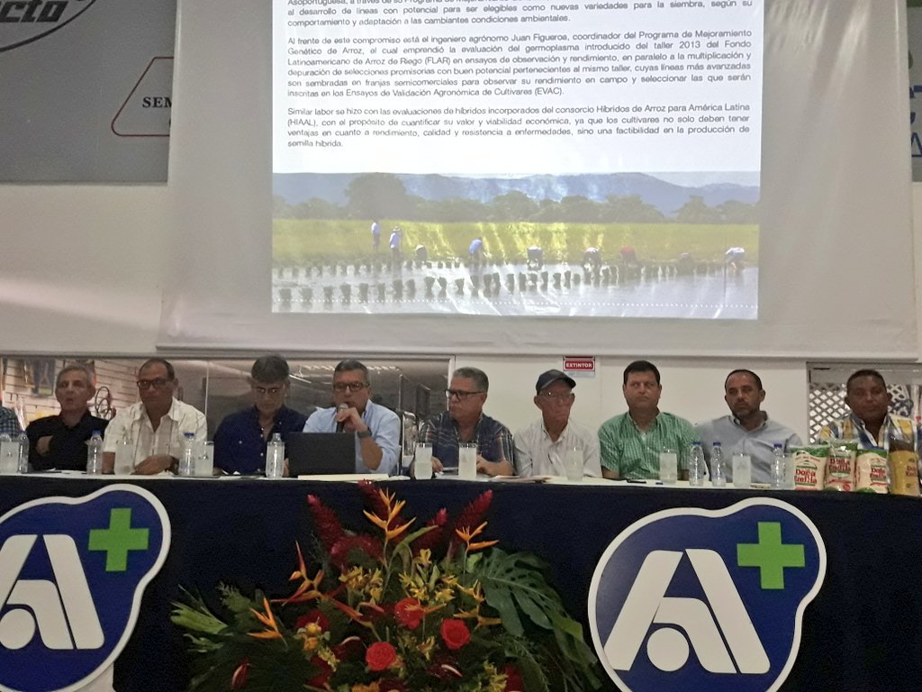 ASOPORTUGUESA's tweet photo. Gustavo Moreno Lleras (@VzlaAgricola), vcpdte de #Asoportuguesa: Tenemos grandes retos en avanzar en la modernización del sector agrícola, en rubros como la soya donde avanzamos en la multiplicación de semilla para la siembra de los productores.
#Asamblea
#MyC2016 https://t.co/ClgL35CFpk