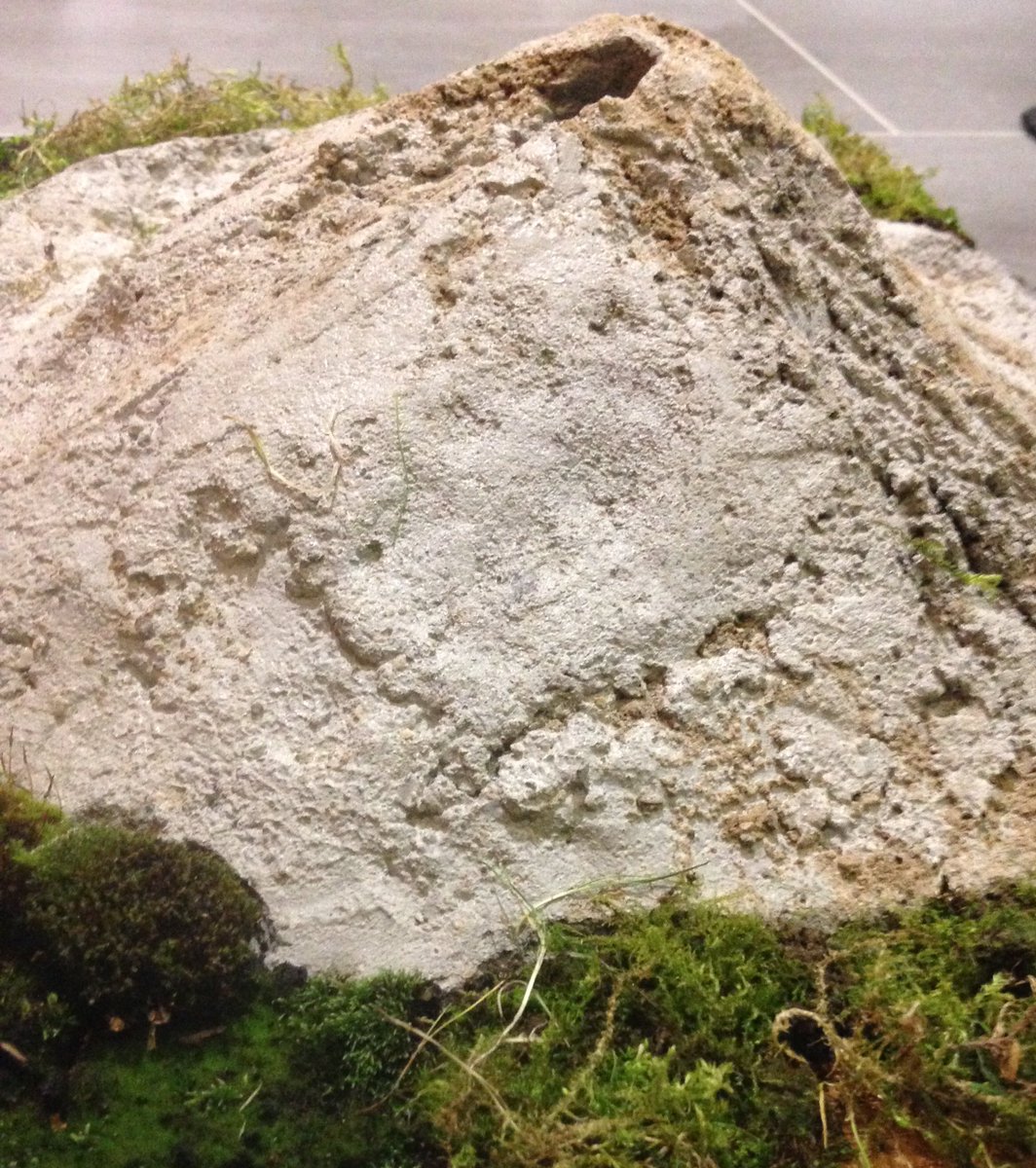triberob1's tweet photo. Just finished making stratovolcano out of mortar, moss and a plastic bowl. The joy of school projects! https://t.co/UUskBwxn5d