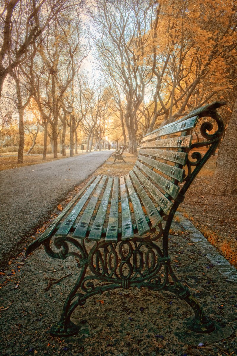 jesfarma's tweet photo. Zu Sanchez Fotografía #OtonoABCsev Parque Los Principes. https://t.co/TFfaKjRVyQ
