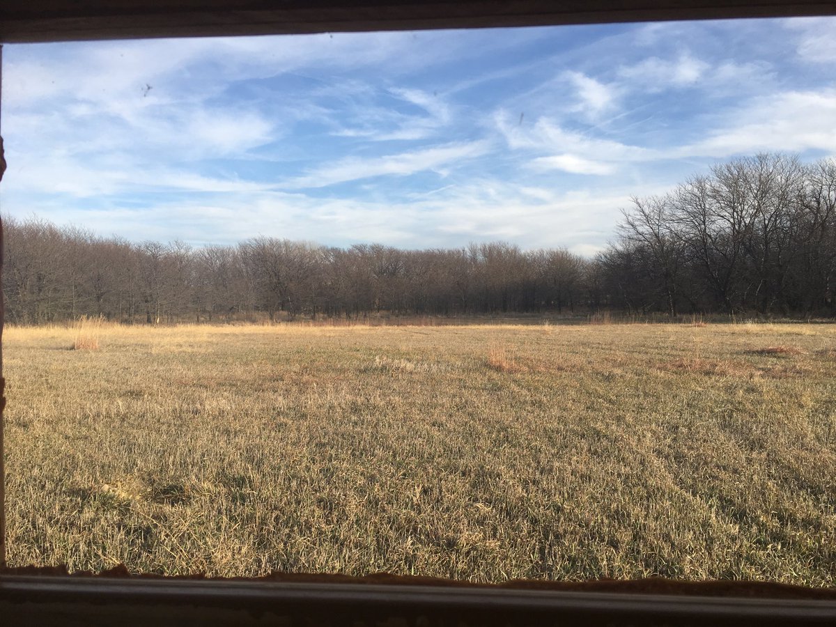 kmooney30's tweet photo. Office view for the rest of the week!#ksdeerseason https://t.co/QsOaonGk6y