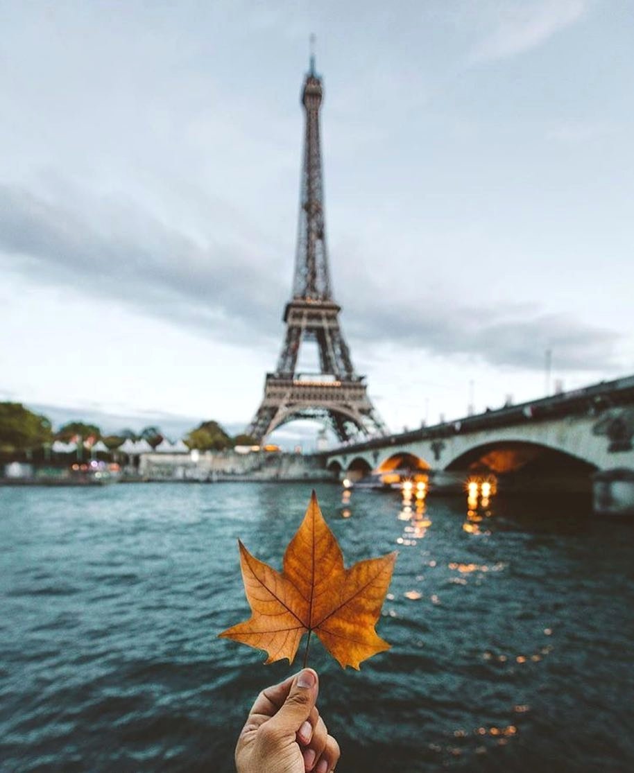 waistedangels's tweet photo. Take me to Paris 🌠 Photo by #WHIHeart #paris #eiffeltower • https://t.co/SJEvwJr7oZ