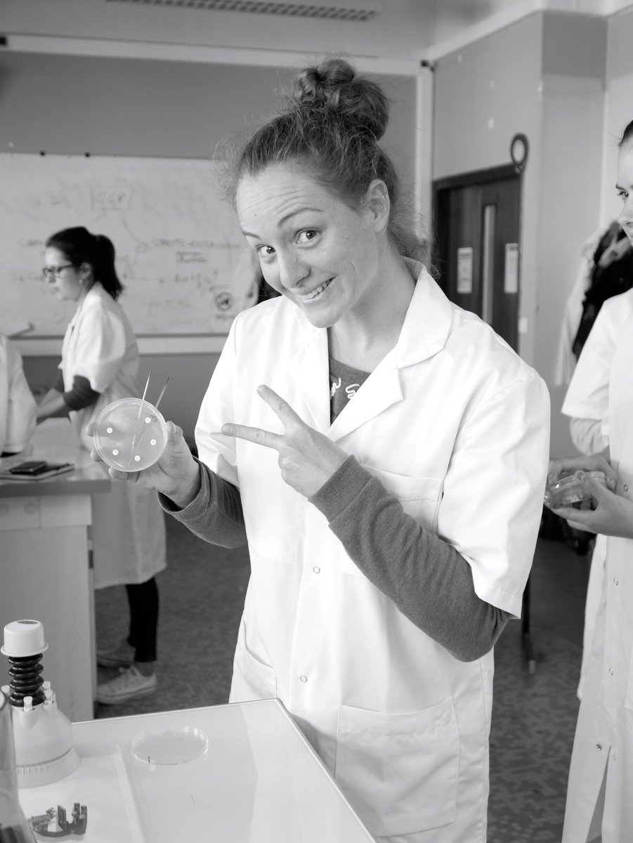 Genevieve_Hery's tweet photo. #BacterioMed TP #DFGSM3 Antibiogramme chacun son style. Le tout c'est de comprendre. RDV demain pour l'interprétation. A vos méninges ! https://t.co/i6NcINnxqd