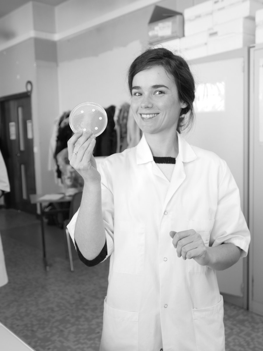 Genevieve_Hery's tweet photo. #BacterioMed TP #DFGSM3 Antibiogramme chacun son style. Le tout c'est de comprendre. RDV demain pour l'interprétation. A vos méninges ! https://t.co/i6NcINnxqd