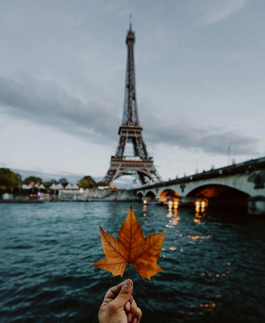 nikkihammel86's tweet photo. Take me to Paris 🌠 Photo by #WHIHeart #paris #eiffeltower • https://t.co/Jd1EKaj31b
