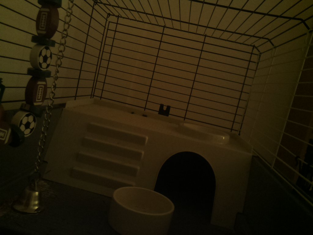 DexVision's tweet image. Dexvision live update at: 2017/11/29 22:00:01