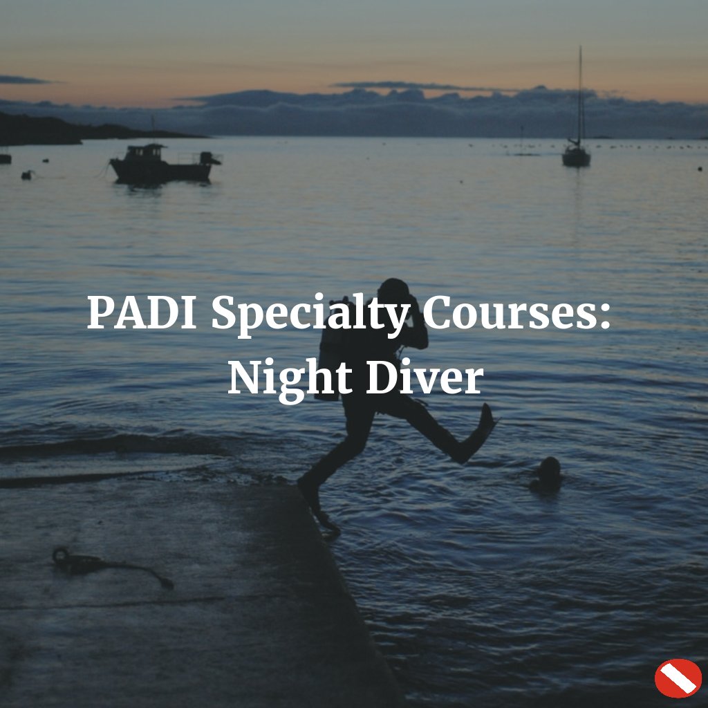 scubamarketing's tweet photo. If you're interested in a #nightdive, why not try the @PADI #NightDiver #specialtycourse? https://t.co/nO0ZYMofYw https://t.co/xhwmCpyB9L