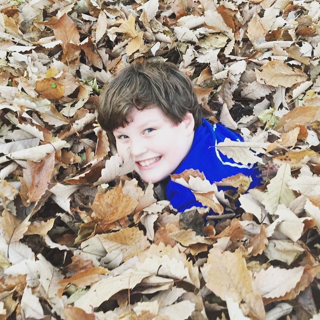 npbunting's tweet photo. Jumping in #leaves is one of the best #childhood #traditions. So grateful for our amazing backyard that is home to so many wonderful memories. #boys #jumpinginleaves https://t.co/AqVxxYCGfw https://t.co/dYMEFXymX5