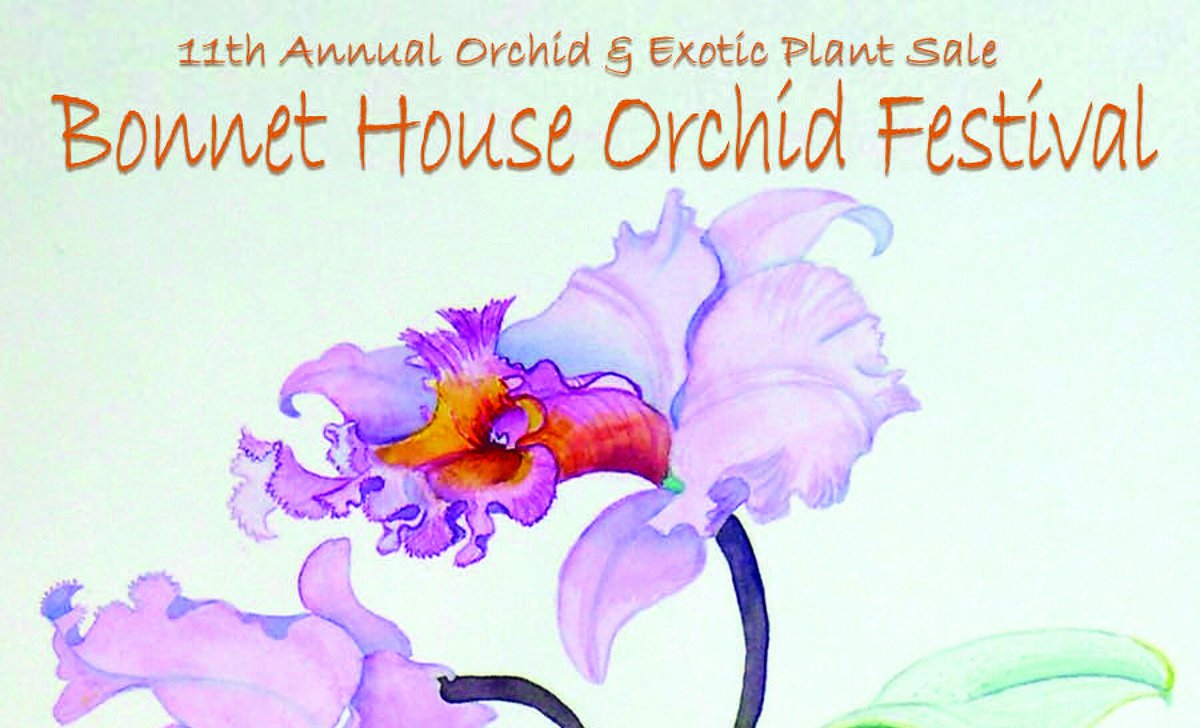 hangapot's tweet photo. Great orchid sale and so much more in a beautiful setting https://t.co/Lx8Xg80m0A
