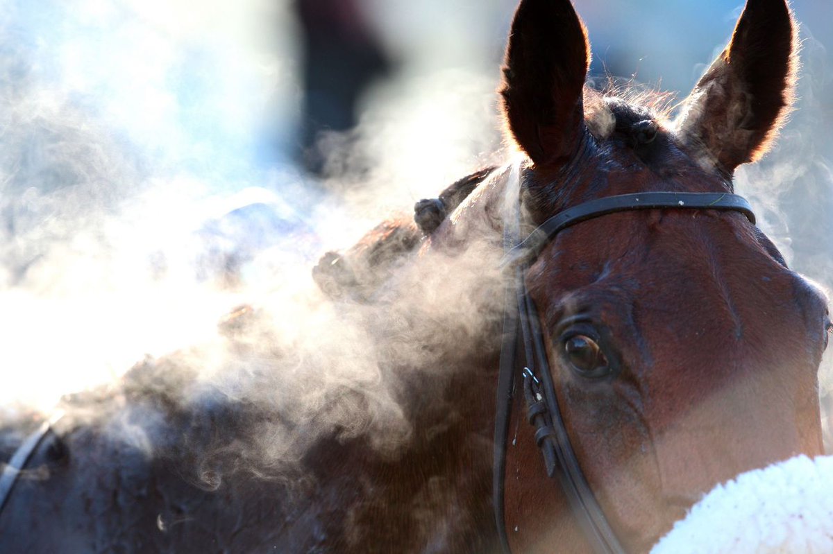francegalop's tweet photo. ๐
30/11
๐ @fg_auteuil #Last2017
โฐ13h10 #Quinte 13h47
๐๐ผx 7๏ธโฃ
https://t.co/g9O3Cn4vkP
๐บhttps://t.co/UlTEMWVgNA https://t.co/Gn6g8if409