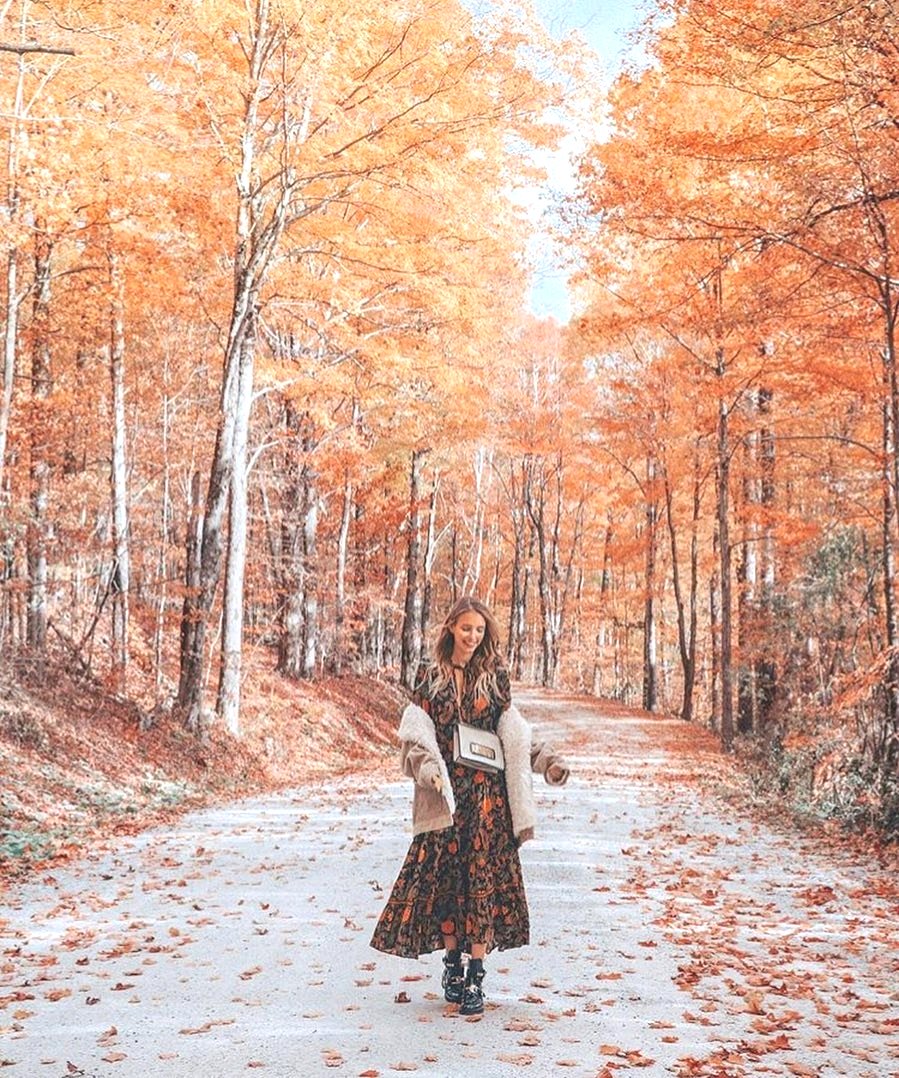 waistedangels's tweet photo. What is your favorite season of the year? 🍁 Photo by #WHIHeart #autumn #leafs • https://t.co/6wzWftwtB9