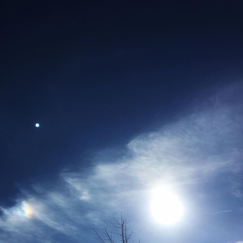 DancerEmmanuel's tweet image. The Moon by Daylight 🌙#Moon #sun #rainbow #beautyofnature #clearsky #nature #clouds ift.tt/2kbjFko