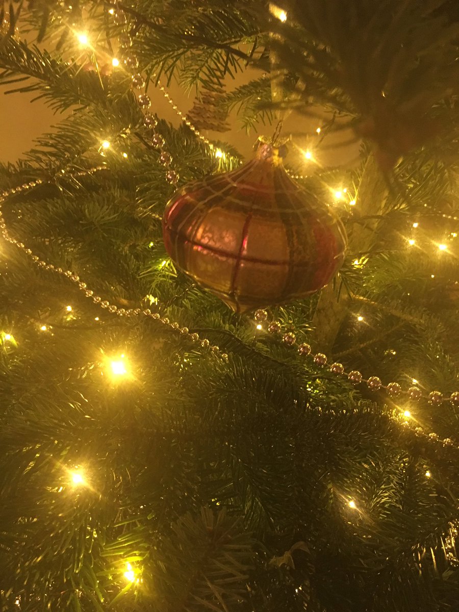 TheSwanTyth's tweet photo. It's starting to feel a lot like #Christmas #festive #cosy #countrypub #goodfood https://t.co/NEoeQP79qf