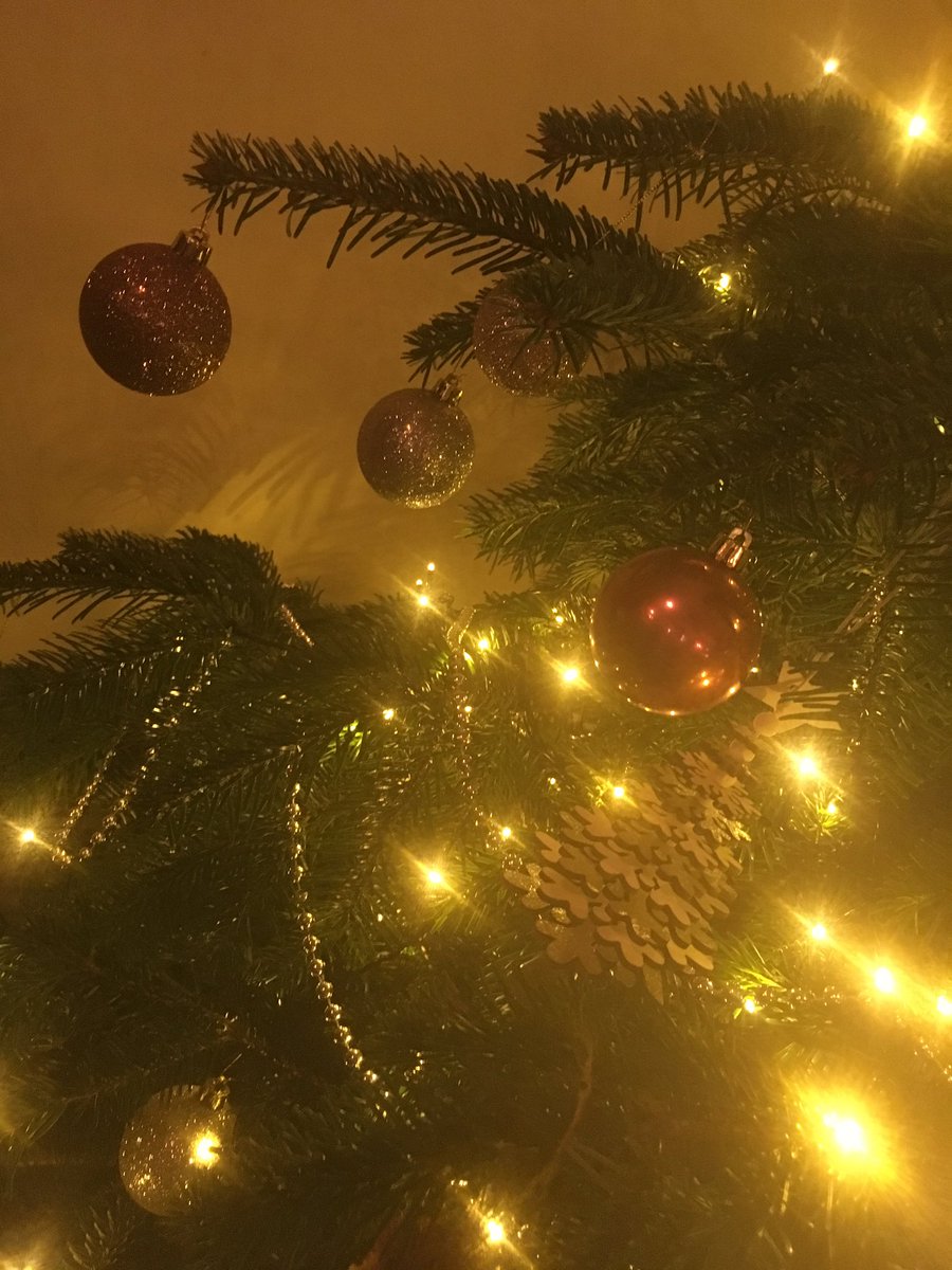 TheSwanTyth's tweet photo. It's starting to feel a lot like #Christmas #festive #cosy #countrypub #goodfood https://t.co/NEoeQP79qf