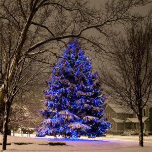 JukeboxCLE's tweet photo. Don't miss out on the @MayDuganCenter 8th Annual Tree Lighting tonight and be sure to follow the crowd to Jukebox for the afterparty! https://t.co/0wJbUuIS1f