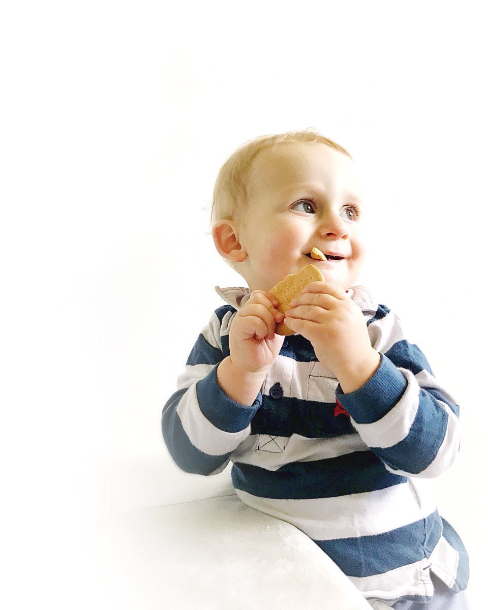 KellyElliff's tweet photo. Our very own @McVities biscuit baby! Photo snapped and edited today by my husband- in our lounge 😍 https://t.co/fDJVeUbEGV