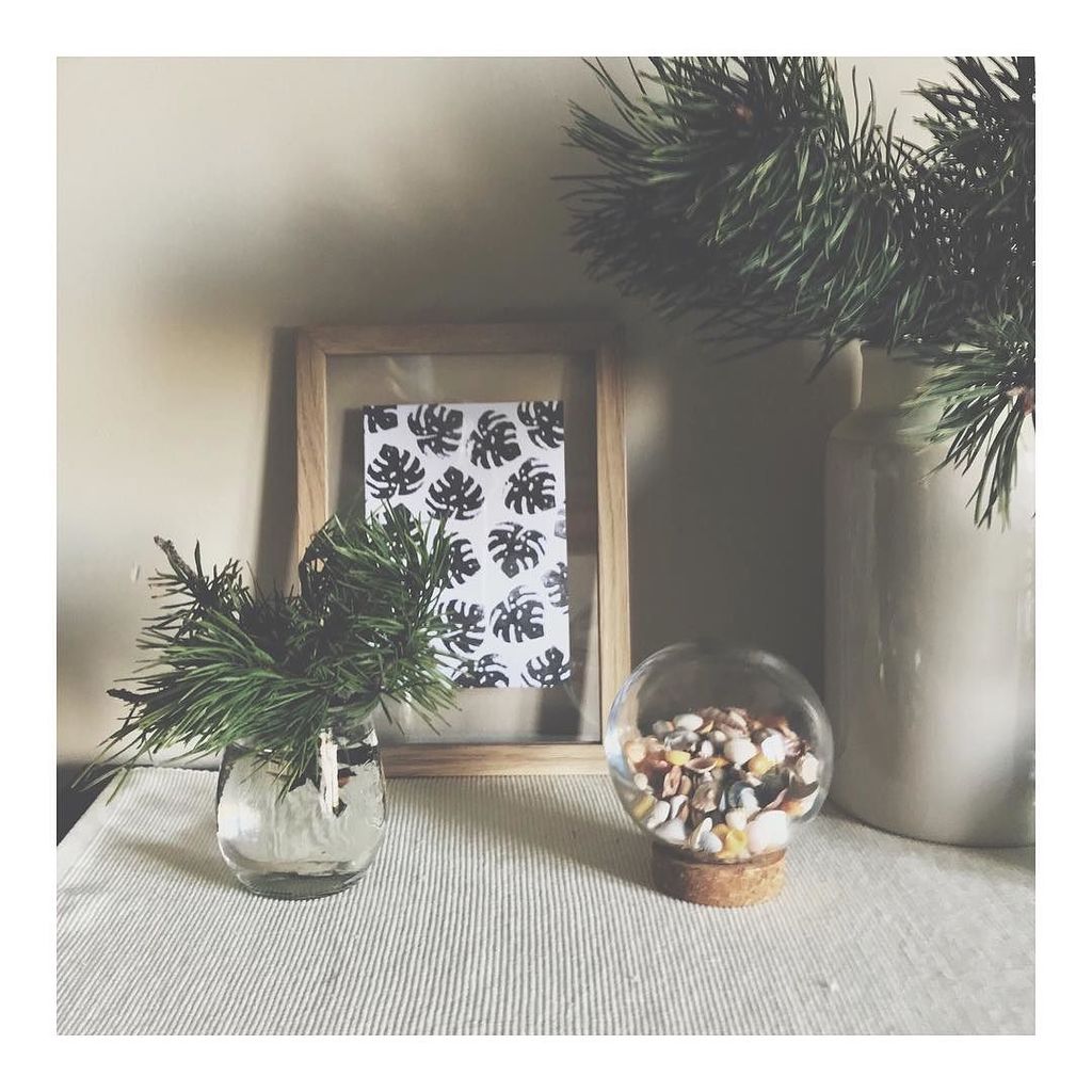 MadebyAnulka's tweet photo. Winter treasures β¨
#interior #decor #decoration #decorations #vase #vases #pinetree #tree #branch #branches #nature #inspiration #interiordesign #winter #treasures #winterinterior #livingroom #frame #littlethings #hygge #wintermode #monsteradelicios⦠https://t.co/CbAzLAh4D9 https://t.co/TnKtZGNHYF