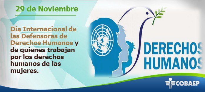 cobaep's tweet photo. #UnDíaComoHoy Se conmemora el Día Internacional de las Defensoras de Derechos Humanos y de quienes trabajan por los derechos humanos de las mujeres https://t.co/kg5V9aw4Ni