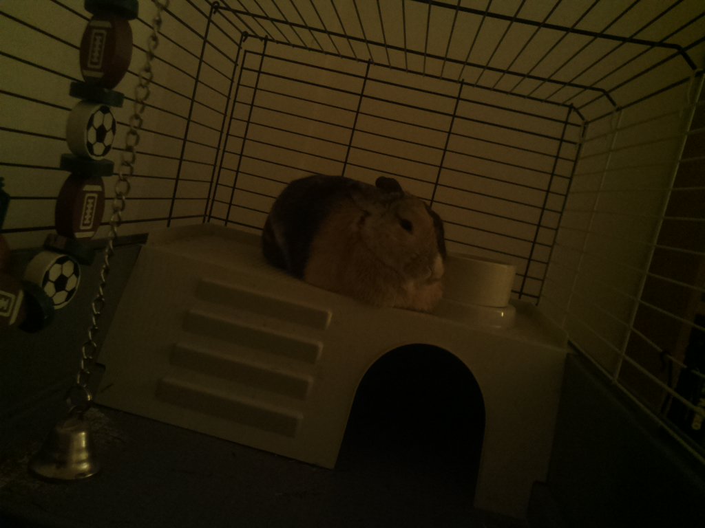 DexVision's tweet image. Dexvision live update at: 2017/11/29 23:00:02