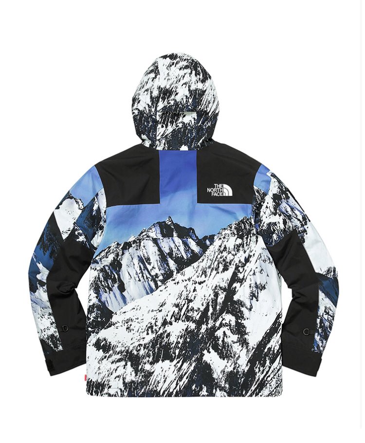 supreme north face resell