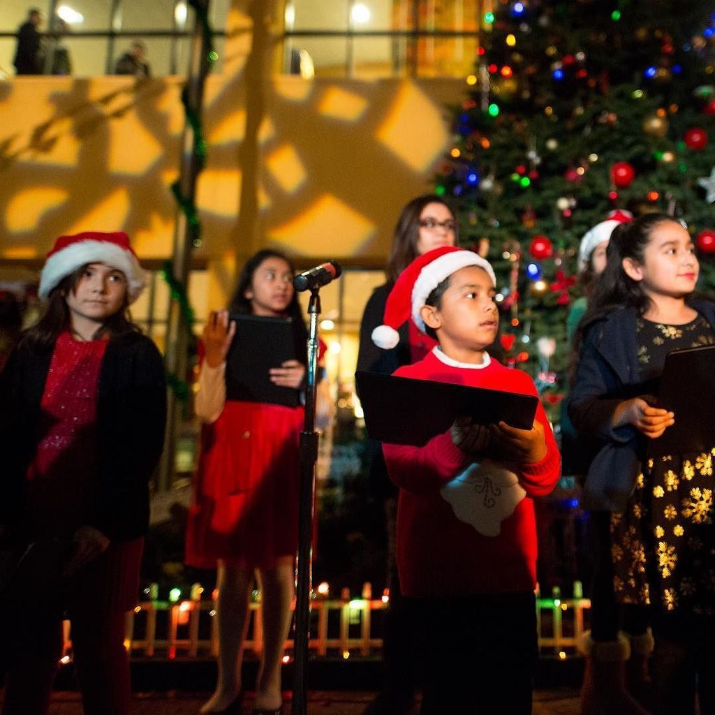 SchoolatMHP's tweet photo. Join us for our 7th annual holiday celebration “Fiesta Navideña” on December 8 at 6pm. All students enrolled for Fall will participate in a recital and exhibition of their work. The evening will also feature special guests performances, vendors, children… https://t.co/E7DDIHULLY https://t.co/FAztSsh6sE