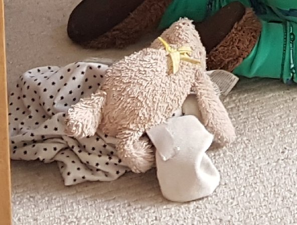 loopylou1982's tweet photo. @TheWorksStores huge plea! Can you check if anyone has handed in this little fellow in your #Torquay store? (He's a bunny btw!) https://t.co/wwoXVefvAj