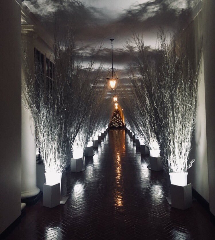 DubiousRubio's tweet photo. I know Michelle Obama is so jealous of Melania's decorating skills. #MelaniaTrump #Whitehouse https://t.co/E6sJdBbRDv