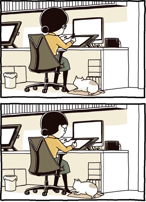 猫あるあるｗ自分から遊んでおいて自分でパニックになるｗｗｗ