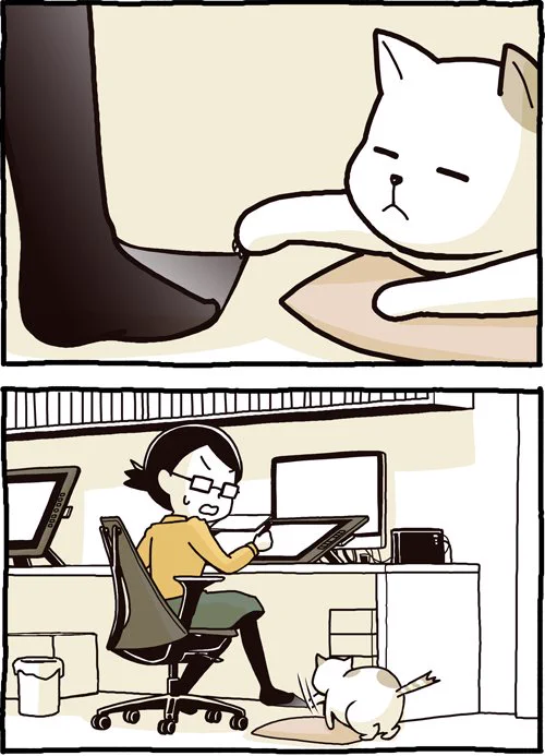 猫あるあるｗ自分から遊んでおいて自分でパニックになるｗｗｗ