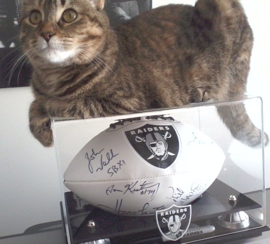 BlackFoxRaider's tweet photo. I've decided that I'm gonna put my #PFHOF06 @RAIDERS #Autographed football on ebay to see what it's worth. I tried @gofundme for some help to relocate to Vegas last year but that didn't really work out for me. Maybe I should update it with my #EndOfDays revelation.🤔 https://t.co/iJicUWLLyq