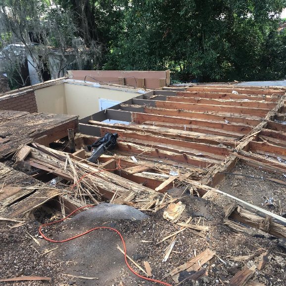 elliethetermite's tweet photo. Termites do the most damage #termiteproblems https://t.co/hvrydcAWOf