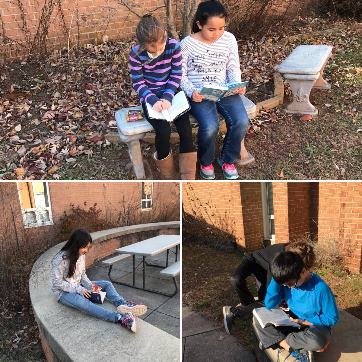 jgalabiDRES's tweet photo. Nothing better than a little independent reading in the school courtyard on a beautiful autumn day! #LTESLions #wereadeverywhere https://t.co/yzvjbqwzEL