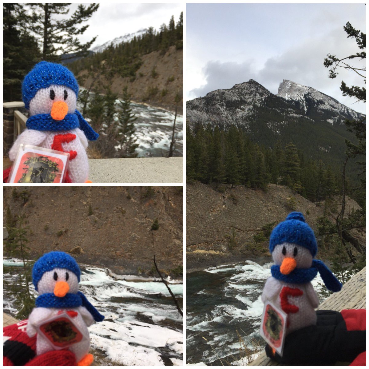 Fant_Duck's tweet photo. Another fun day here in #Canada! Today I winged it  to #BowFalls it was very pretty! @JonAntoine @elfcharity @Banff_Squirrel https://t.co/JWAmKZzqNy