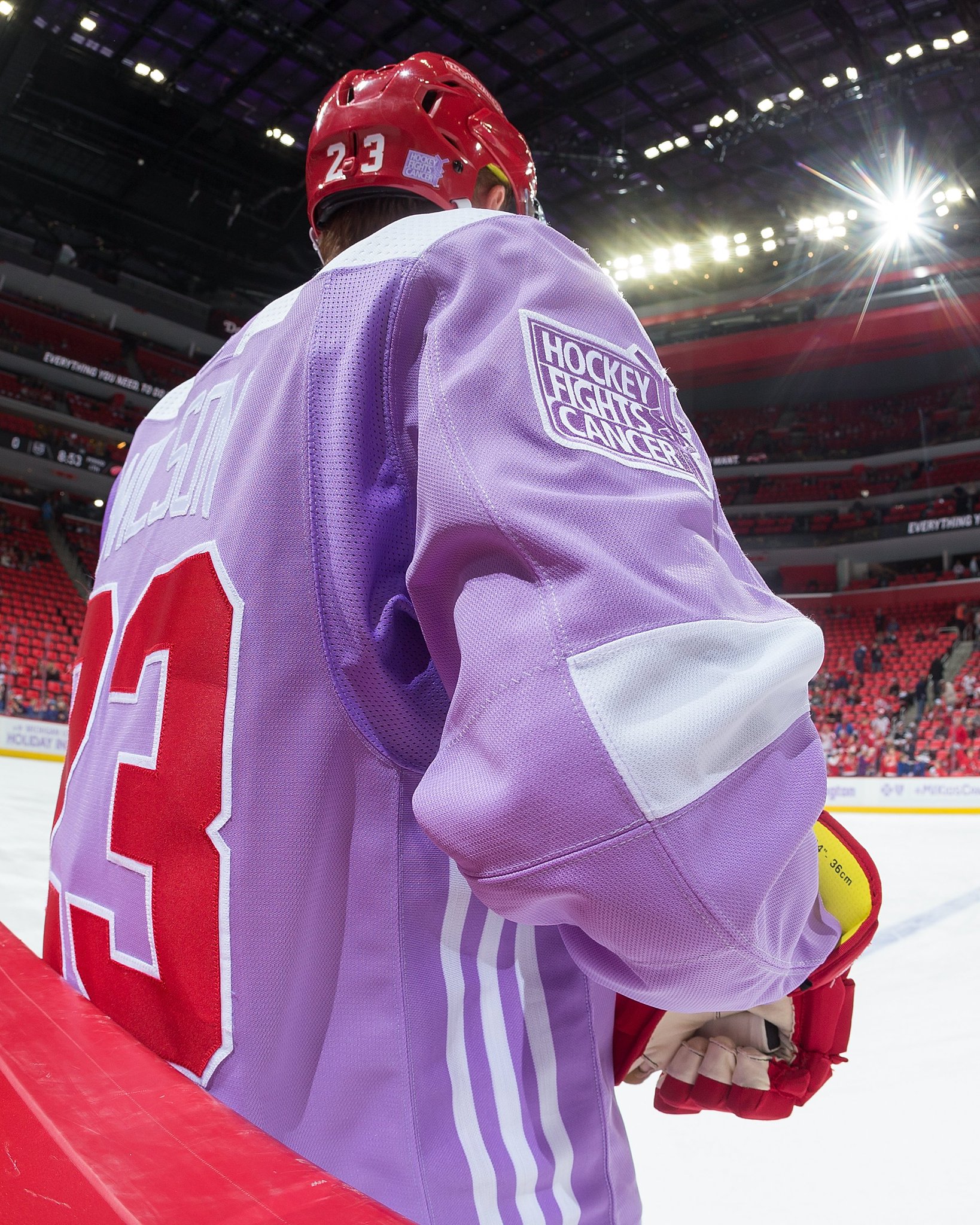 purple red wings jersey