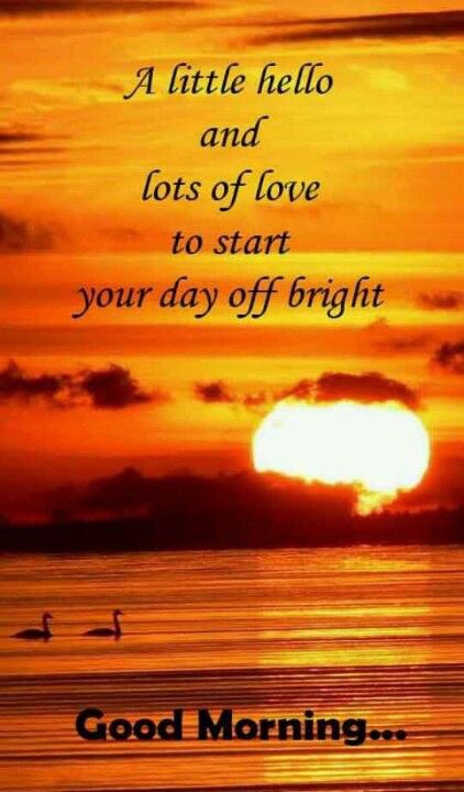 fulvia14130533's tweet photo. @PelRoja65 @britt_grie @GinaPustor123 @Tait1Kathy @barbden @TuKoppandi @gandusio @birgit_gerach @twingles321 @barss_freddie @jillmetcalf @JEACARD @IrishOutlanders Good morning KaRol 😘😘 https://t.co/NokPlfo2iI