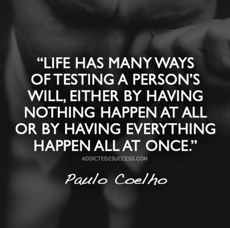 sitonthehood's tweet photo. https://t.co/RFpFipkivA