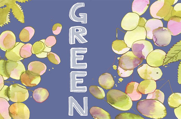 WineEnthusiast's tweet photo. #Wine101 When it comes to wine, are green flavors good? Wine terms defined: https://t.co/CyYjuMrfFD https://t.co/l12CMt6zRx